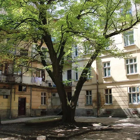 в центрі львова