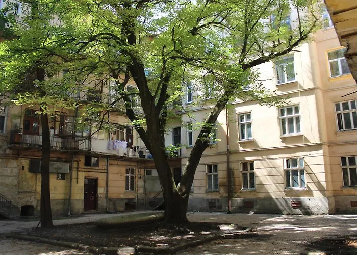 в центрі львова